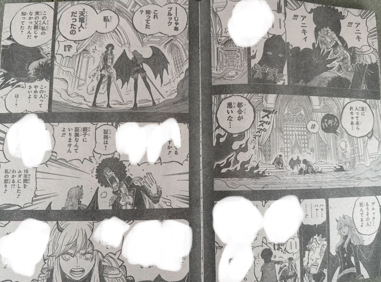 One Piece 1186 Page 3